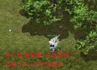 吴川红馆凌晨1点战歌现场贵仔Mix带你嗨翻天 吴川红馆凌晨1点战歌现场贵仔Mix带你嗨翻天