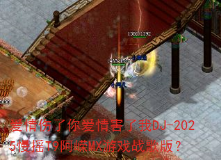 爱情伤了你爱情害了我DJ-2025慢摇T9阿嵘MX游戏战歌版? 爱情伤了你爱情害了我DJ-2025慢摇T9阿嵘MX游戏战歌版?