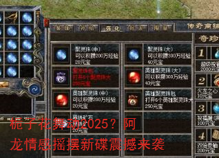 ӻ趯2025ҡµϮ