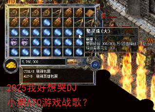 2025ҺDJСA70Ϸս裿