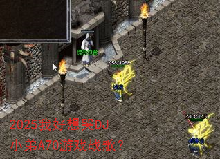 2025ҺDJСA70Ϸս裿