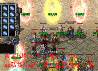 ϽDJ2025ǿHouse˽գɶսȼȫ