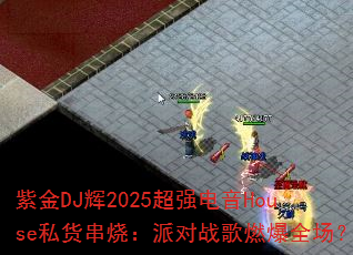 紫金DJ辉2025超强电音House私货串烧:派对战歌燃爆全场? 紫金DJ辉2025超强电音House私货串烧:派对战歌燃爆全场?