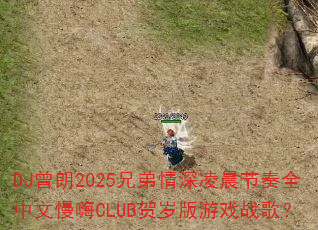 DJ曾朗2025兄弟情深凌晨节奏全中文慢嗨CLUB贺岁版<a href=
