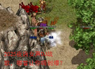 2025夜店女声<a href=
