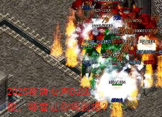 2025夜店女声DJ战歌,哪首让你嗨到爆? 2025夜店女声DJ战歌,哪首让你嗨到爆?