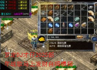罗定DJ才仔2025新年战歌马上发财自嗨慢摇 罗定DJ才仔2025新年战歌马上发财自嗨慢摇