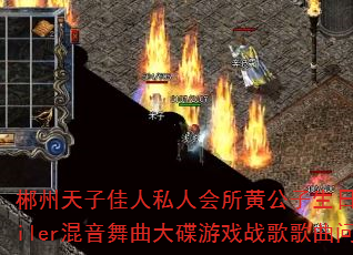 郴州天子佳人私人会所黄公子生日宴会DJMiler混音舞曲大碟游戏战歌歌曲问题型带 郴州天子佳人私人会所黄公子生日宴会DJMiler混音舞曲大碟游戏战歌歌曲问题型带