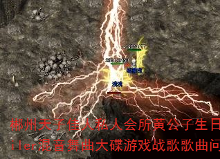 郴州天子佳人私人会所黄公子生日宴会DJMiler混音舞曲大碟游戏战歌歌曲问题型带 郴州天子佳人私人会所黄公子生日宴会DJMiler混音舞曲大碟游戏战歌歌曲问题型带