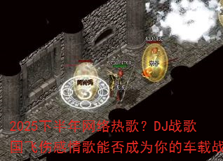 2025°ȸ裿DJս˸ܷΪĳս