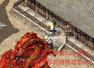 佳木斯DJ鹏音乐工作室DJ小蕾的慢嗨大碟能成为你的游戏战歌吗? 佳木斯DJ鹏音乐工作室DJ小蕾的慢嗨大碟能成为你的游戏战歌吗?