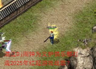 տDjΪ廤ֲ2025Ϸս裿