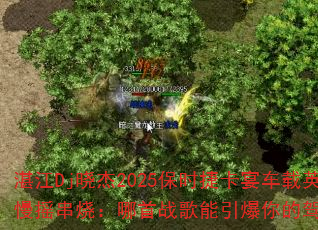 տDj2025ʱݿ糵Ӣҡգսļʻ飿