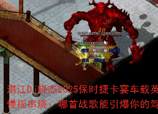 տDj2025ʱݿ糵Ӣҡգսļʻ飿