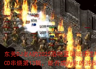 ݸDJA2025ưů泵CDյ13ܷΪϷս裿