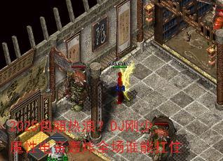 2025ˣDJħԵըȫ˭ܿס