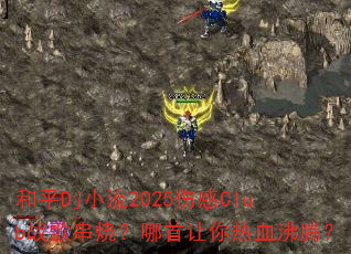 ƽDjС2025˸Clubս贮գѪڣ