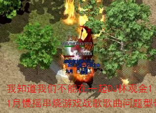 ֪ǲһDJֹ۽11ҡϷսʹ