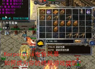 Korporativ籩γΪռϷս裿