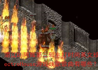 տDjԵʱӢذElectroHouseϷսЩ