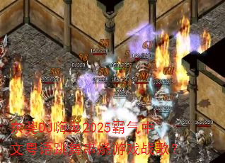 ݸDJ˹2025贮Ϸս裿