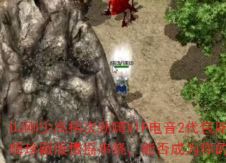 DJٸߵξVIP2رذҡգܷΪϷս裿