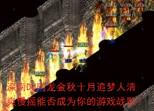 DJʮ׷ˬҡܷΪϷս裿