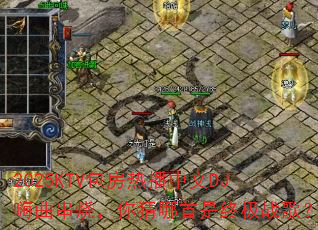 2025KTV包房热播中文DJ嗨曲串烧,你猜哪首是终极战歌? 2025KTV包房热播中文DJ嗨曲串烧,你猜哪首是终极战歌?