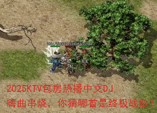 2025KTV包房热播中文DJ嗨曲串烧,你猜哪首是终极战歌? 2025KTV包房热播中文DJ嗨曲串烧,你猜哪首是终极战歌?