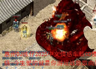 DJ2025гCDҡ-ľϷսʹ