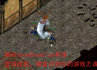 ʨShowShowClub糡ս裬׵ȼϷ֮ꣿ