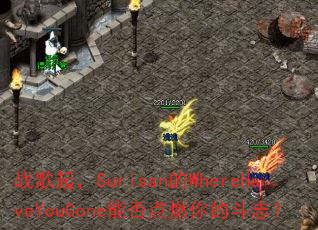 սSurisanWhereHaveYouGoneܷȼĶ־