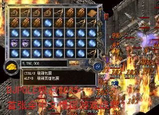 DJPOLE2025ȫҡϷս裿