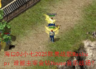 DJС2025ŷսMashup˭׽Houseս