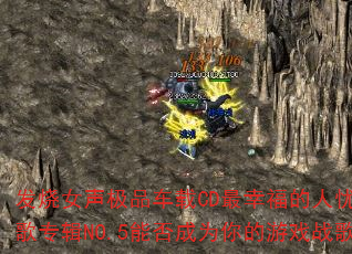 ŮƷCDҸרNO.5ܷΪϷս裿