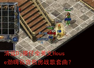 ԶDjȫӢHouse˽ս