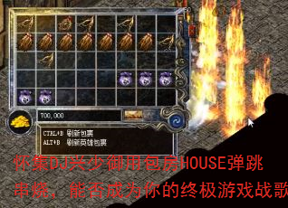DJðHOUSEգܷΪռϷս裿