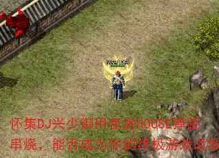 DJðHOUSEգܷΪռϷս裿