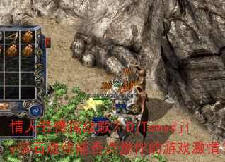 ˽ҡս裿DjTomydjlyʯܷȼϷ飿