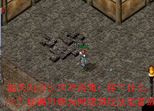 عDj2025ţʲôţ䴮ΪγϷսѡ