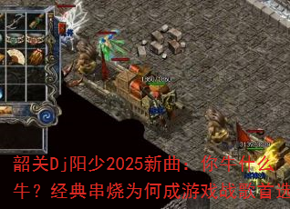 عDj2025ţʲôţ䴮ΪγϷսѡ