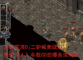 2025Dj¿ս裺ŮˣCDϮ