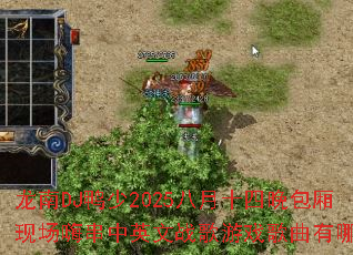 DJѼ2025ʮֳ˴ӢսϷЩ