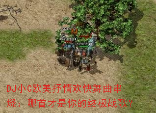 DJ小C欧美抒情欢快舞曲串烧:哪首才是你的终极战歌? DJ小C欧美抒情欢快舞曲串烧:哪首才是你的终极战歌?