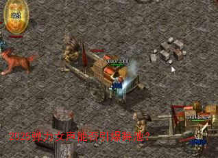 2025弹力女声能否引爆舞池? 2025弹力女声能否引爆舞池?