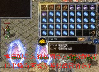 DJĵɸ˽˻VIPΪγΪϷսѡ