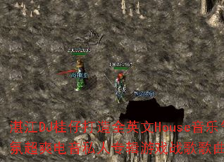 տDJдȫӢHouseճˬ˽רϷսʹ