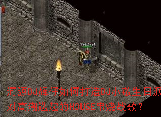 ԴDJδDJСɶԸ߳HOUSEս裿