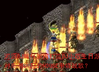 ԴDJδDJСɶԸ߳HOUSEս裿