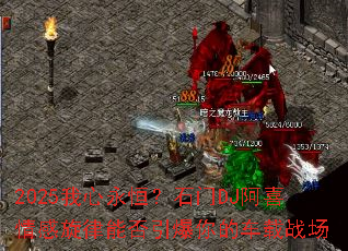 2025�������㣿ʯ��DJ��ϲ��������ܷ�������ĳ���ս��